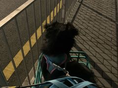 -燕晗山郊野公园