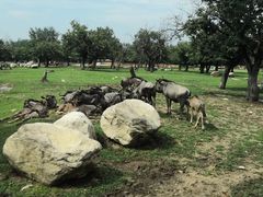 -西安秦岭野生动物园