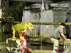 -清迈夜间动物园