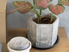 -X88商场(铜仁路店)