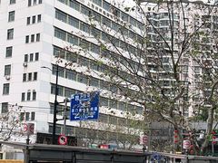 -丁俊晖台球俱乐部(长寿路店)
