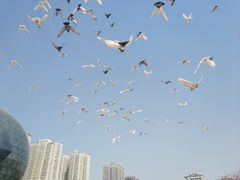 -陕西自然博物馆