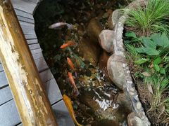 -上海大自然野生昆虫馆(东方明珠·爬宠昆虫探索中心)
