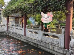 -碧江金楼