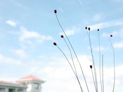 -V Bar海景扒房(北海湾惠龙万达嘉华酒店)