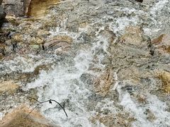 -海南热带雨林国家公园吊罗山景区
