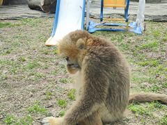 -大连森林动物园