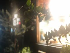 -钟鸭子·非物质文化遗产(奎光路店)