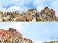 -白草畔自然风景区