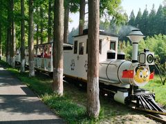 -黄海国家森林公园