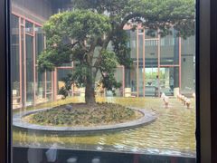 -上海崇明金茂凯悦酒店