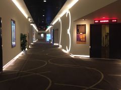 -嘉华国际影城(学清路店)