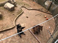 -无锡动物园·太湖欢乐园
