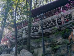 -巴倒烫陆派火锅山庄(南山总店)