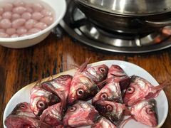 鲮鱼头-章记正宗南岗鱼蛋火锅