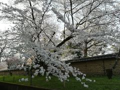 -醍醐寺