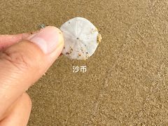 -清水湾旅游度假区