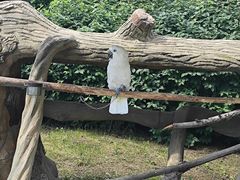 -齐齐哈尔龙沙动植物园