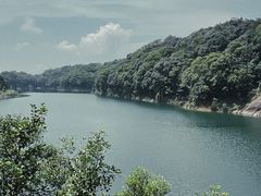-广州市石门国家森林公园