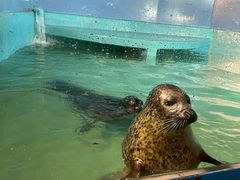 -太平洋海底世界