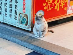 -铁路文化公园