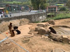-无锡动物园·太湖欢乐园