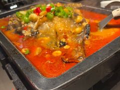 -炉鱼(亲橙里店)