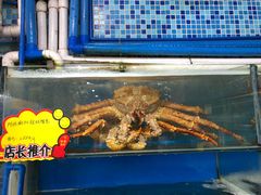 阿拉斯加长脚蟹-蚝专家(北滘店)