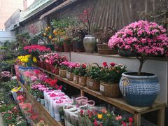 -平吉花卉市场