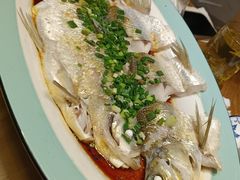-阿巧茶庄
