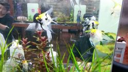 android_upload_pic-小左美发