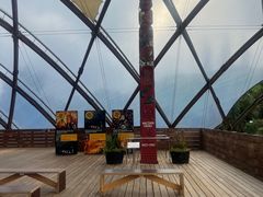 -怀托摩萤火虫洞