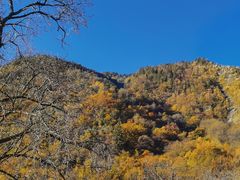 -叠溪松坪沟景区