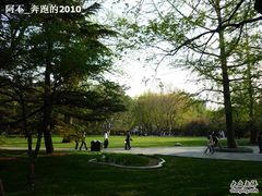 -紫竹院公园冰场
