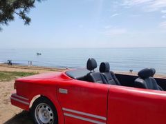 -日照灯塔风景区