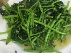 -煲来饱去冷水鱼