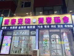 -青奢宠物·青奢猫舍