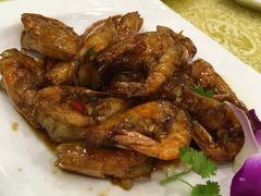 美极虾-九大簋家宴(北京路店)