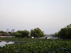 -长春市南湖公园