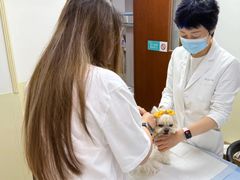 -美联众合动物医院·24h转诊中心