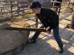 -玻璃桥景区石牛寨