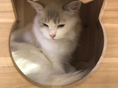 -小时光咖啡馆(开森度假森林店)