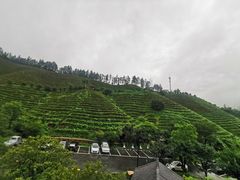 -心无尘茶餐馆(径山村店)