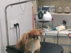 -宠颐生动物医院·小陆分院