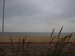 -情侣路