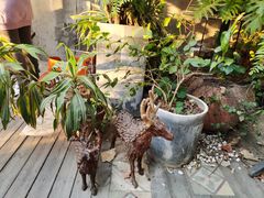 -时光花园(白鹭洲店)