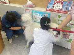 -瑞派长江宠物医院·猫科·外科·24小时夜护(谊城公寓分院)
