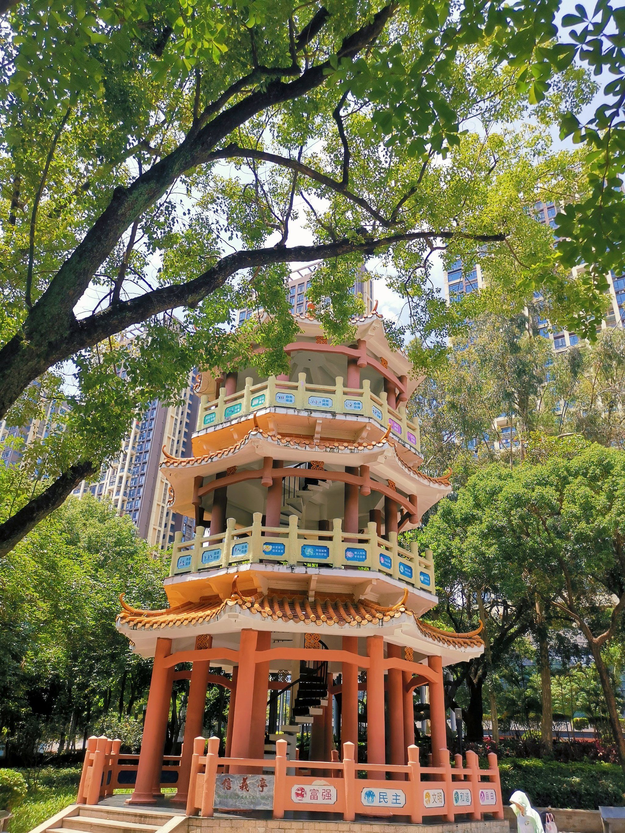 公园里的悠闲时光横岗公园