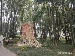 -望江楼公园