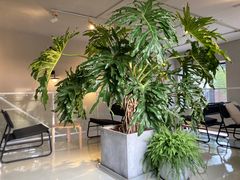 -小意思咖啡店(草桥店)